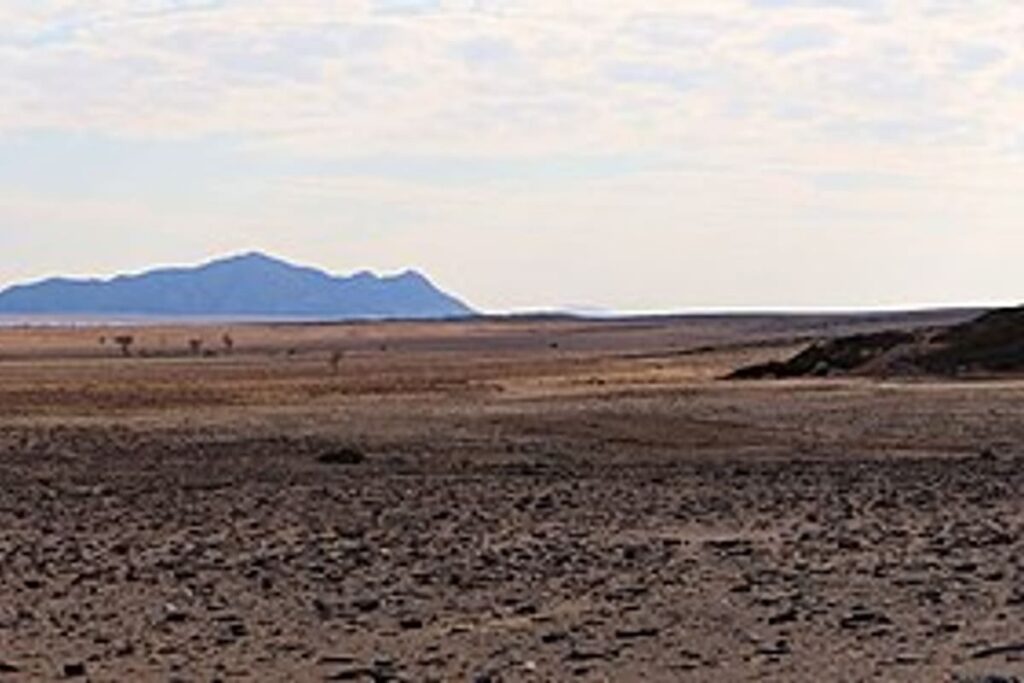 Namib Desert