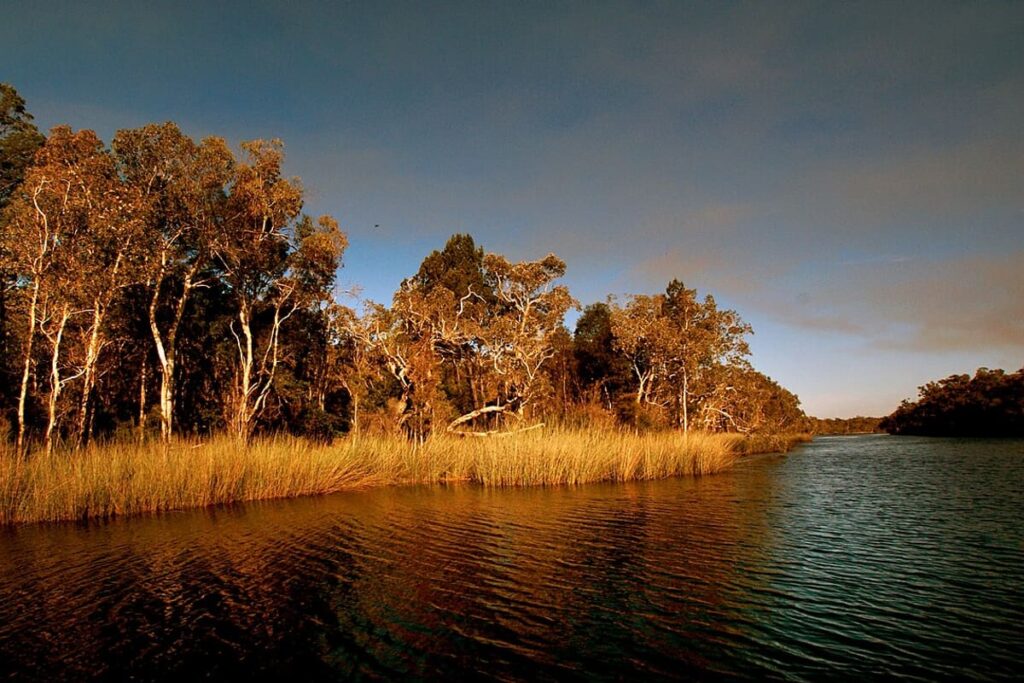 Noosa Everglades