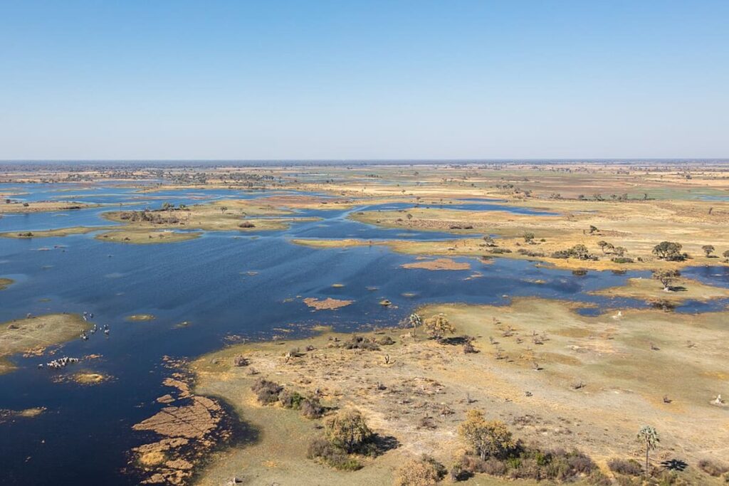 Moremi NP (Okavango)