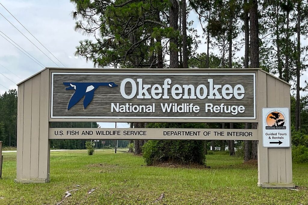 Okefenokee Swamp