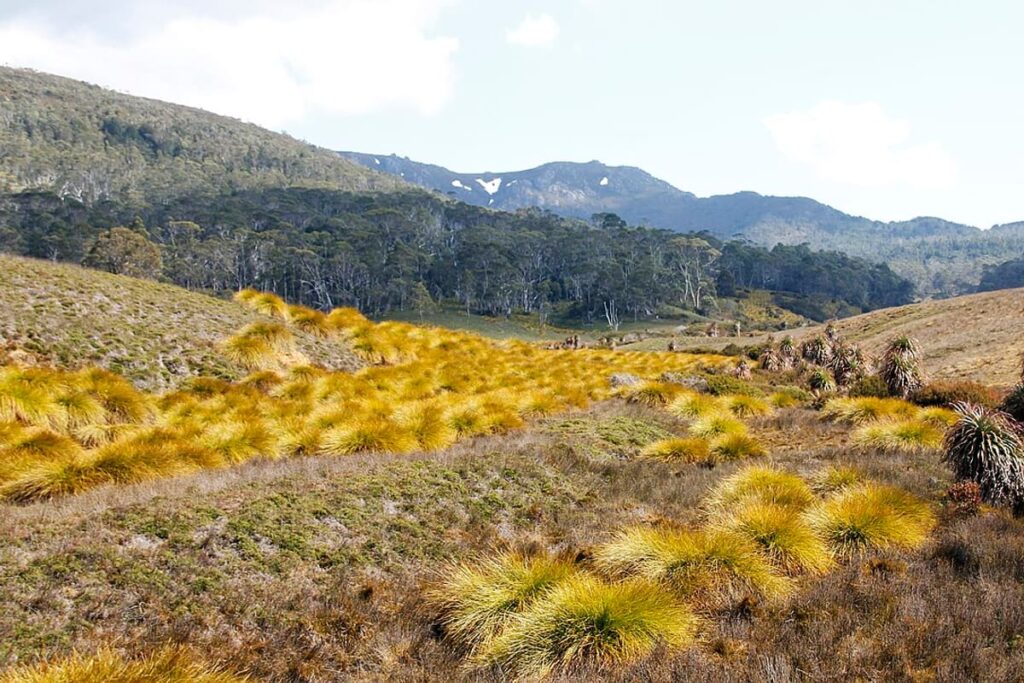 Overland Track