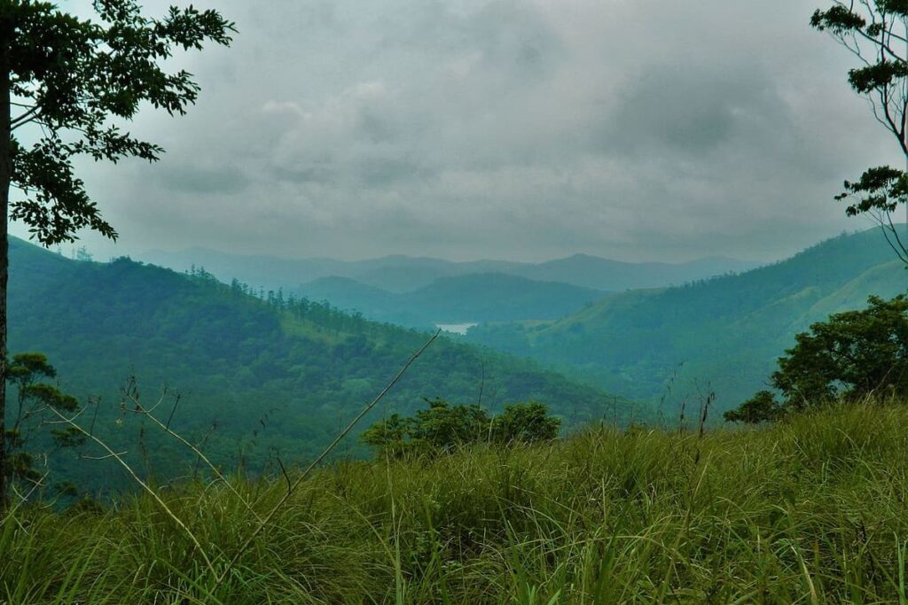 Periyar National Park