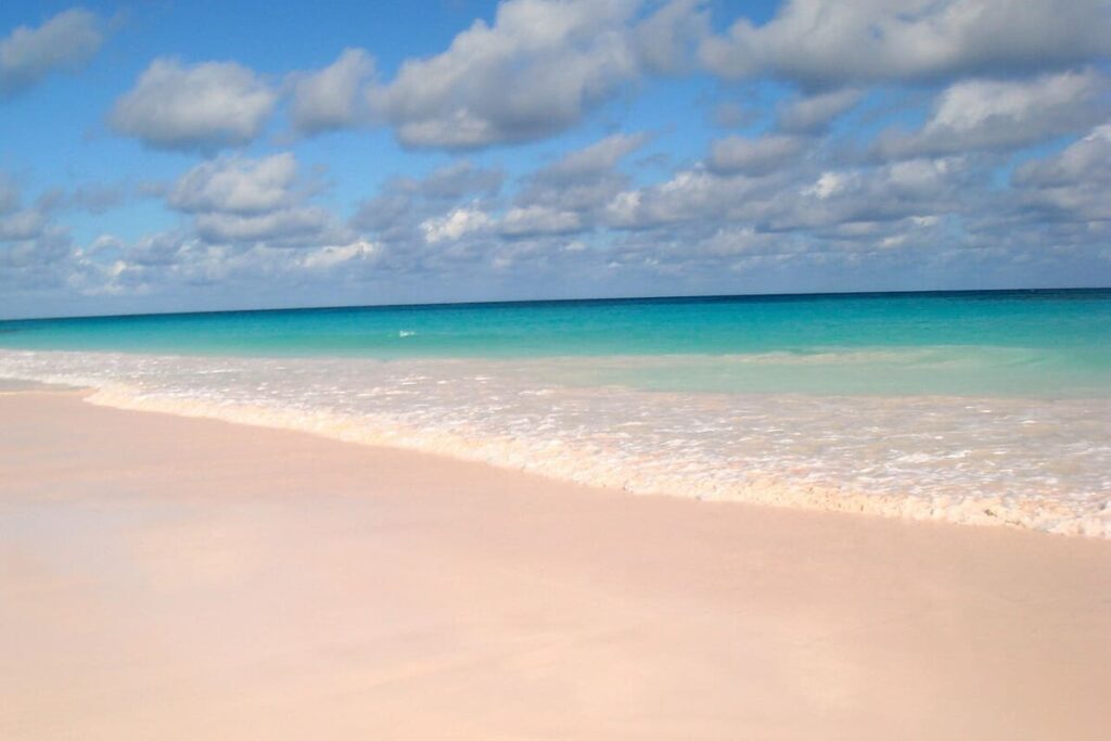 Pink Sands Beach