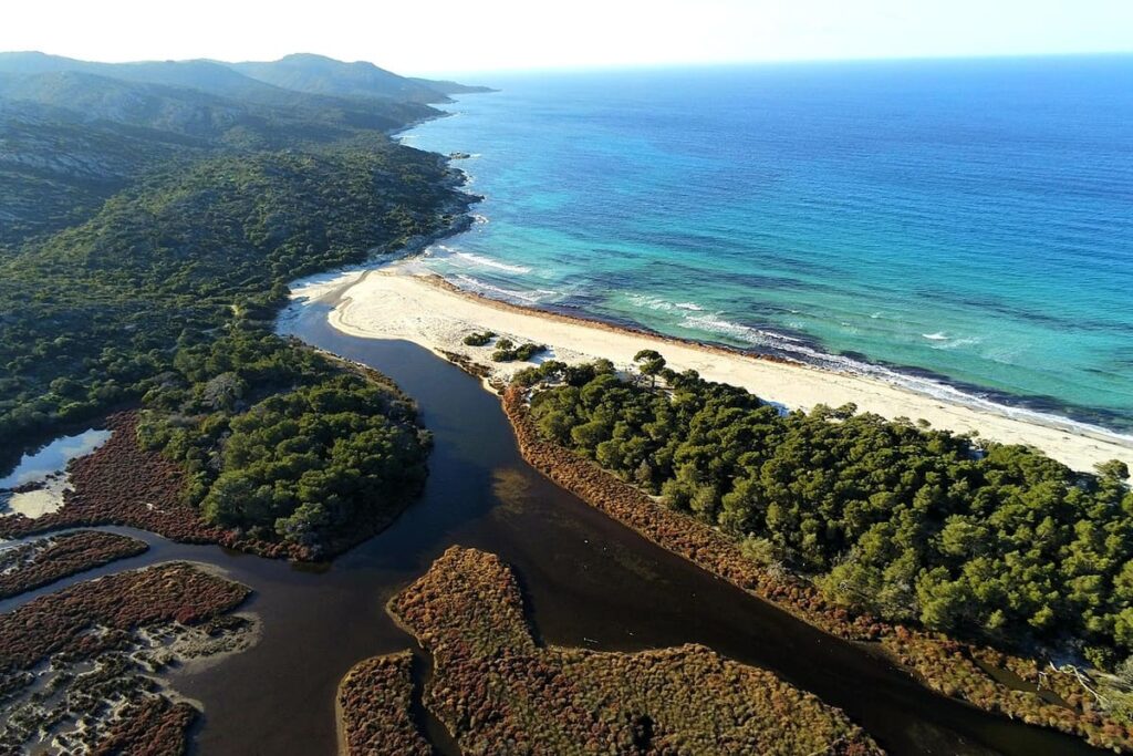 Plage de Saleccia