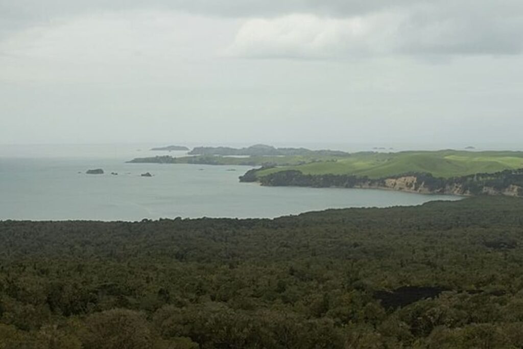 Rangitoto Island