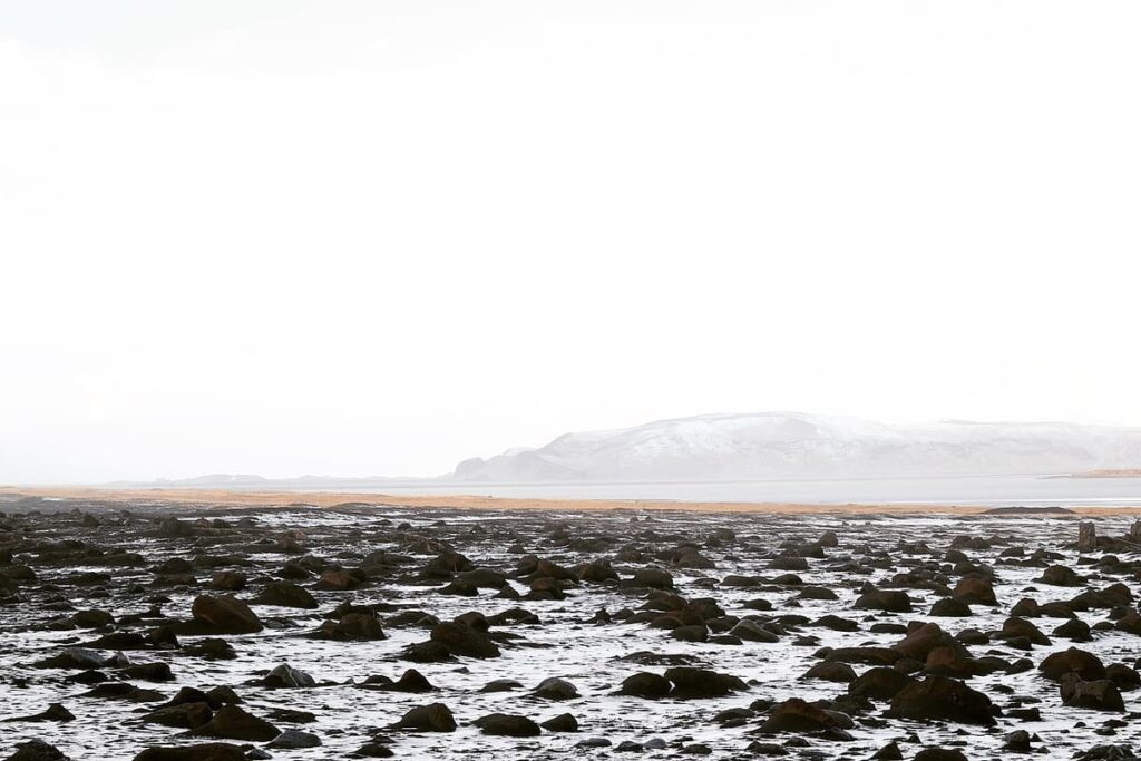 Reynisfjara Black Sand Beach