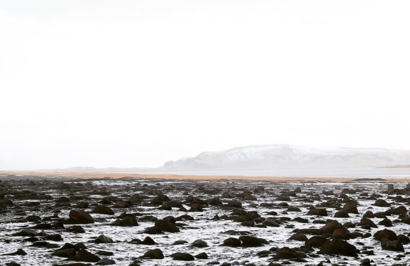 Reynisfjara Black Sand Beach
