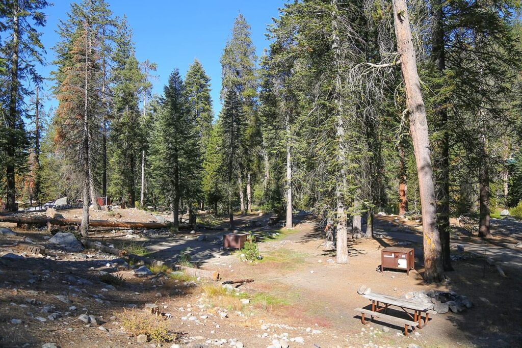 Sequoia (Lodgepole Campground)