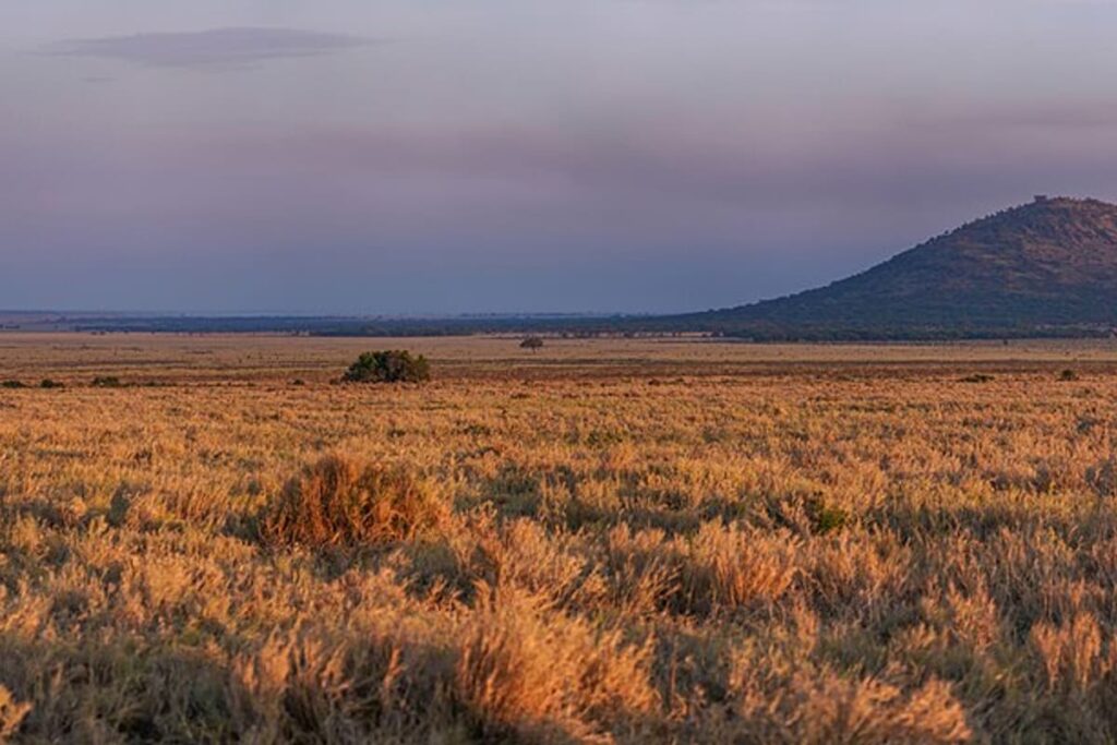 Serengeti National Park