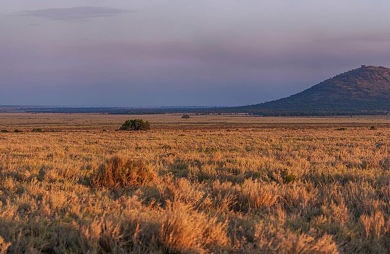 Serengeti National Park
