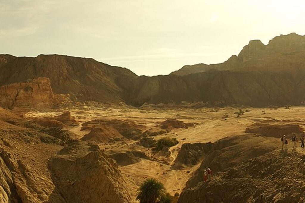 Sinai Desert