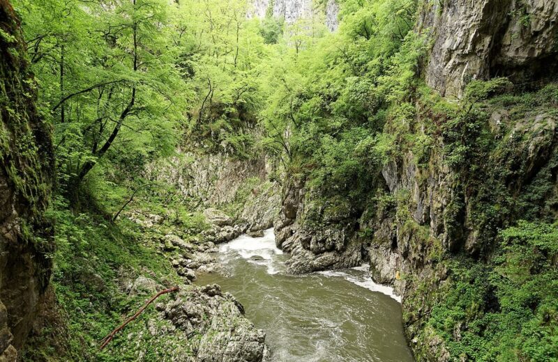 Škocjan Caves