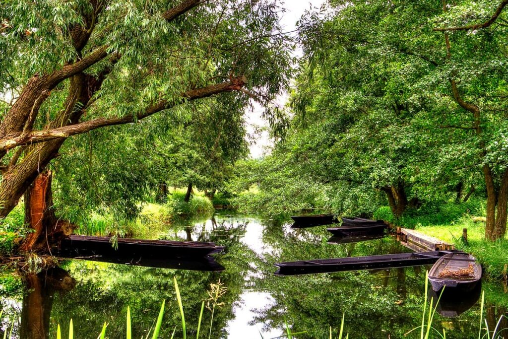 Spree Forest (Spreewald)
