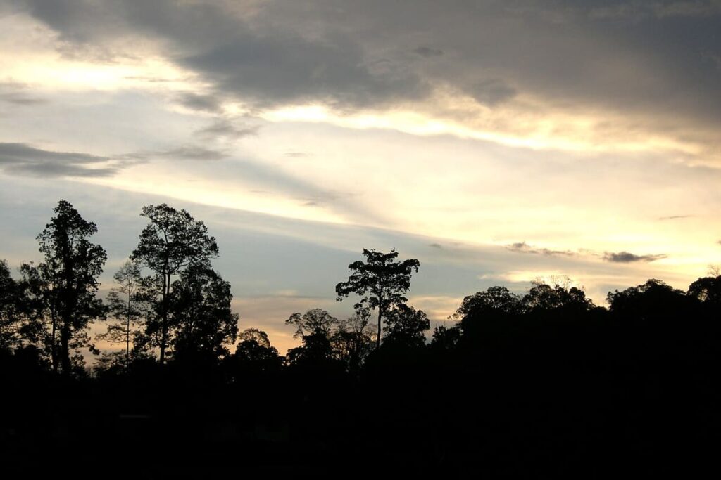 Taman Negara
