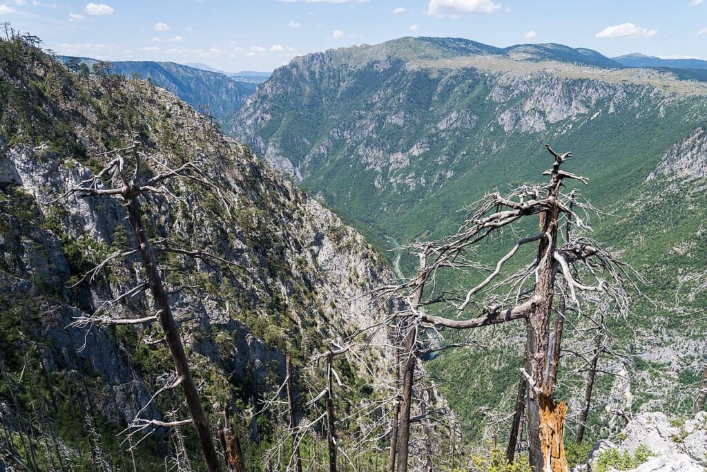 Tara River Canyon