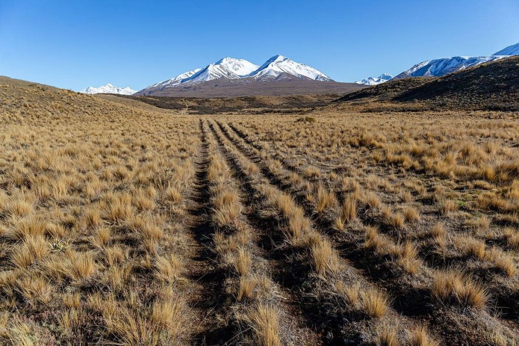 Te Araroa