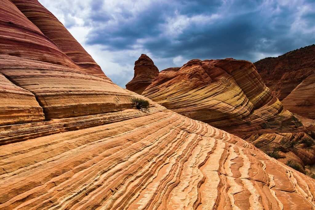 The Wave (Coyote Buttes)