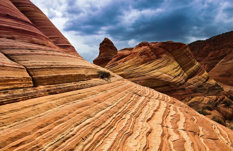 The Wave (Coyote Buttes)