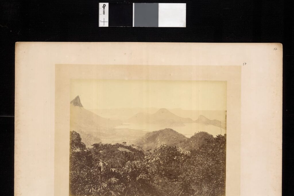 Tijuca Forest