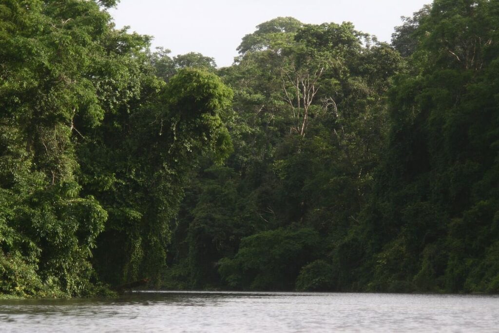 Tortuguero National Park
