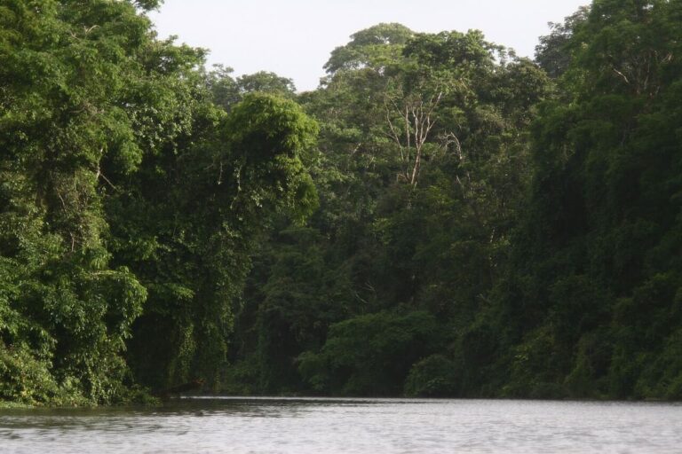 Tortuguero National Park