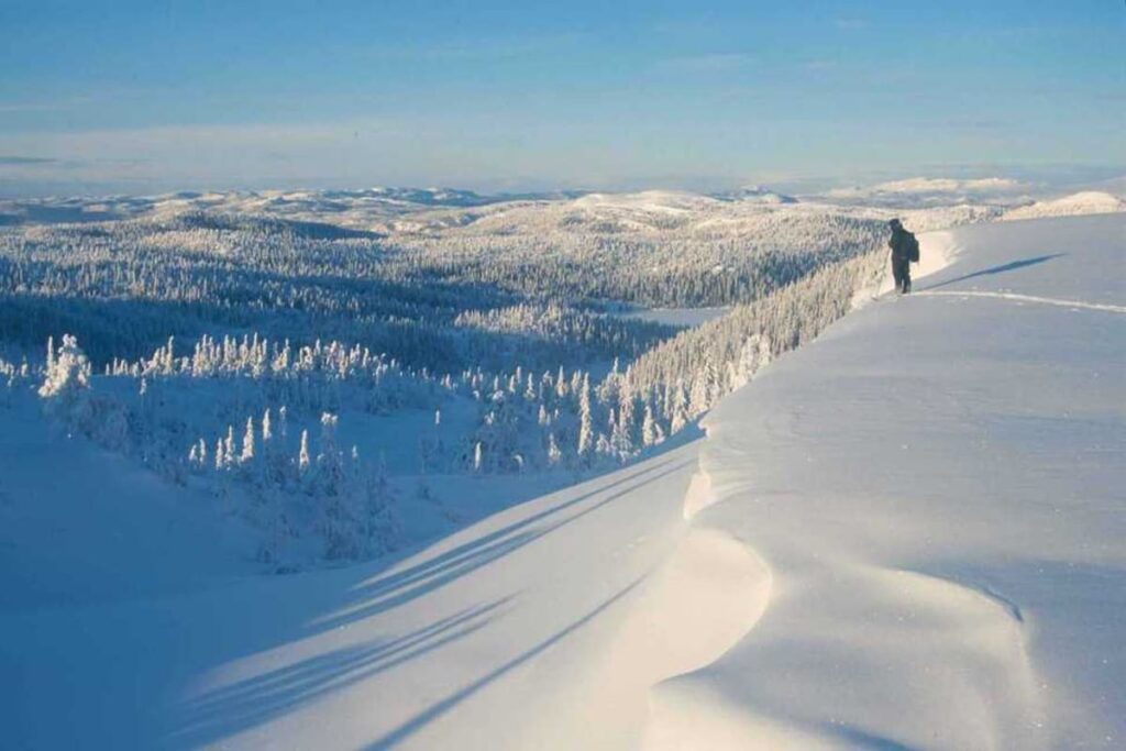 Trillemarka-Rollagsfjell