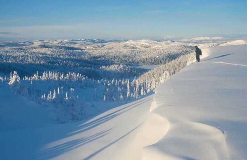 Trillemarka-Rollagsfjell
