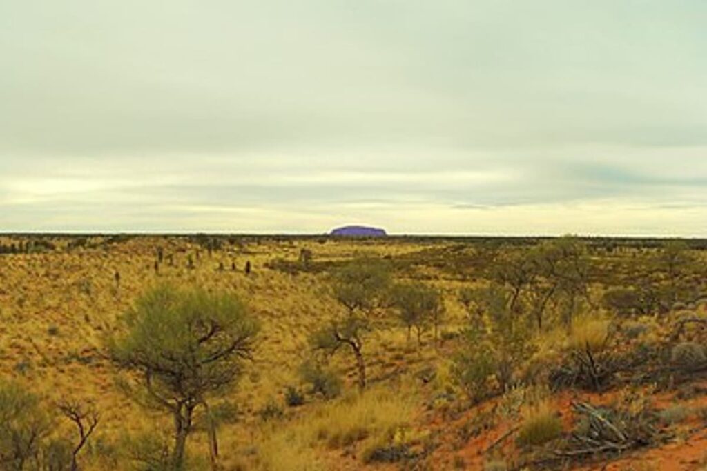 Uluru-Kata Tjuta NP