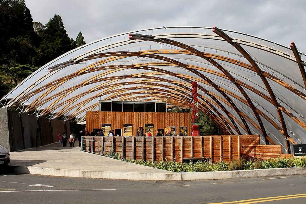 Waitomo Glowworm Caves