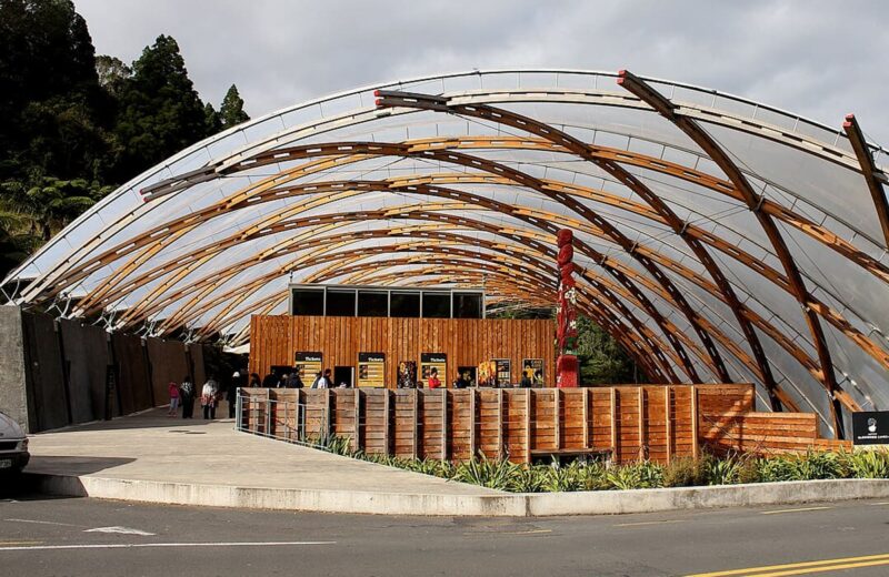 Waitomo Glowworm Caves