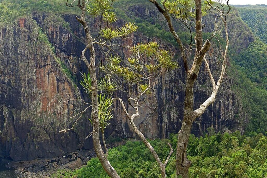 Wallaman Falls