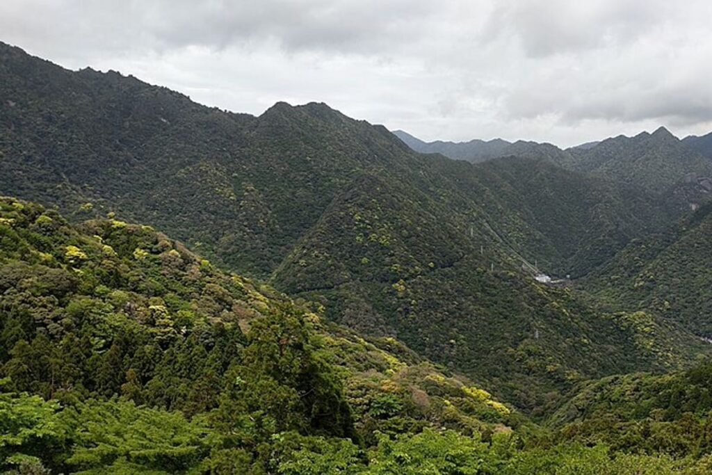 Yakushima