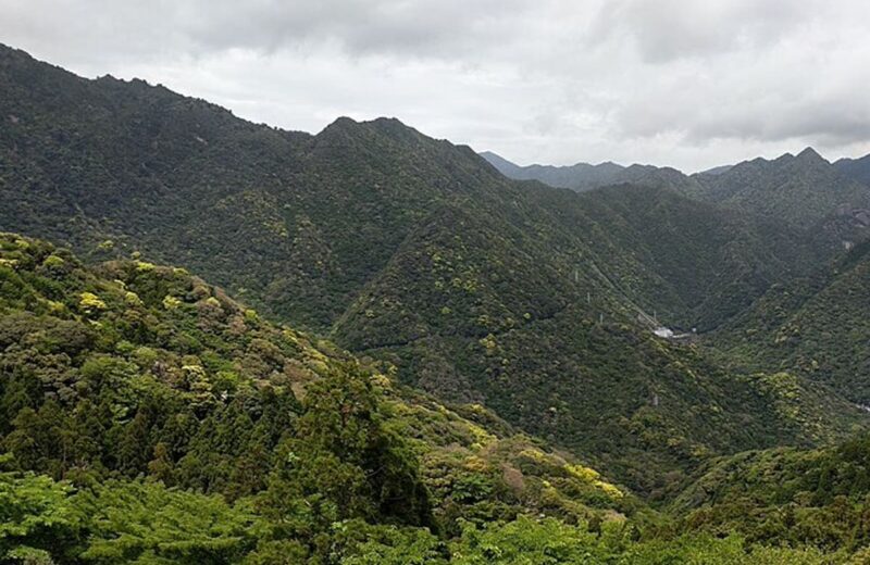 Yakushima