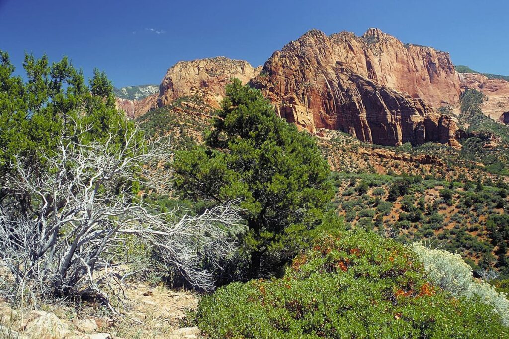 Zion National Park