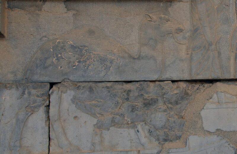 The Persian Empire Under Cyrus, Darius and Xerxes