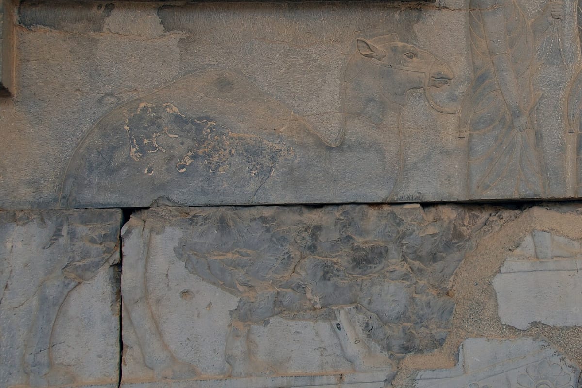 The Persian Empire Under Cyrus, Darius and Xerxes