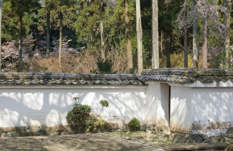 The Best Time to Visit Japan (Month-by-Month Weather, Crowds & Costs)
