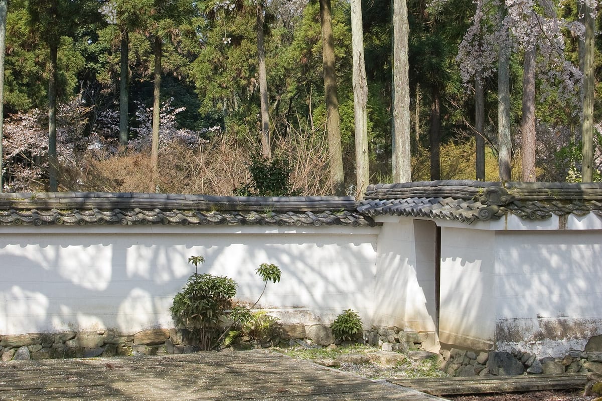 The Best Time to Visit Japan (Month-by-Month Weather, Crowds & Costs)